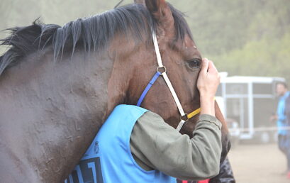 XXVII Raid Internacional Tadasport