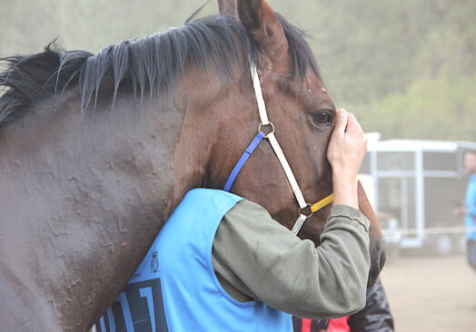 XXVII Raid Internacional Tadasport